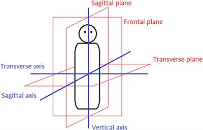 Elevation as a Grammatical and Semantic Category of Demonstratives